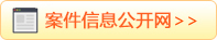 重要案件信息公开